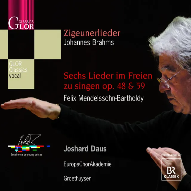 11 Zigeunerlieder (Gypsy-Songs), Op. 103: No. 1. He, Zigeuner, greife in die Saiten