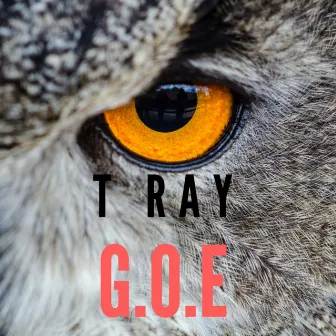 G.O.E by T Ray