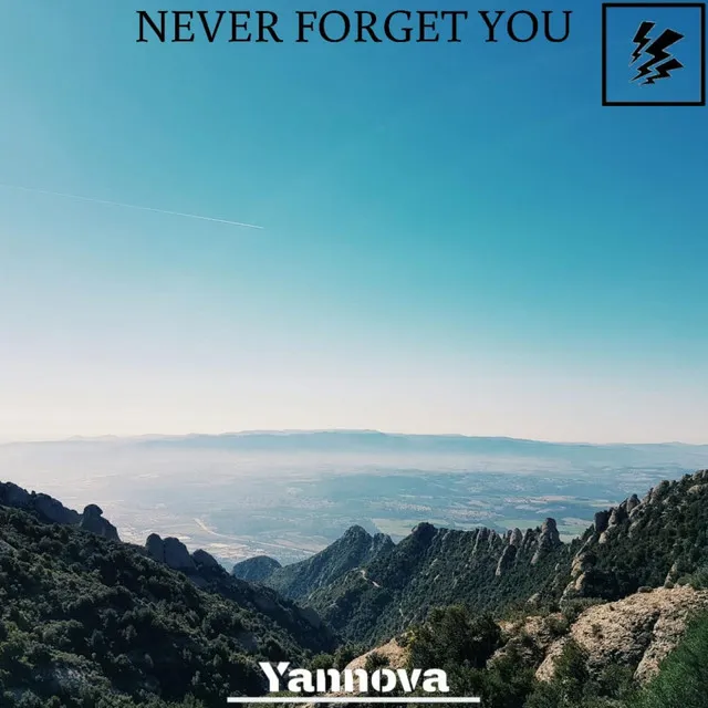 Never Forget You