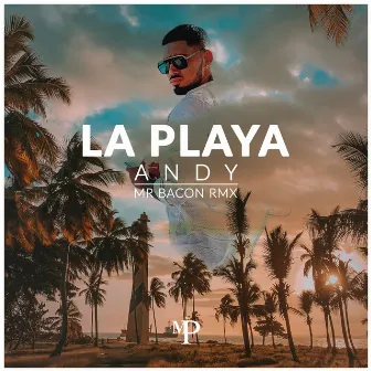 La Playa (Remix) by Unknown Artist