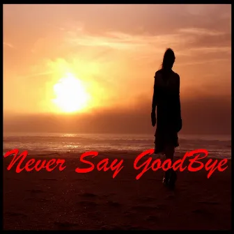 Never Say Goodbye by Connie Haines