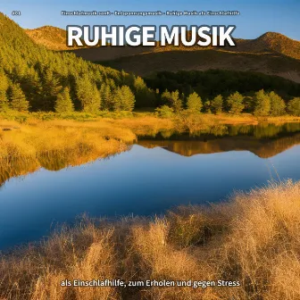 #01 Ruhige Musik als Einschlafhilfe, zum Erholen und gegen Stress by Ruhige Musik als Einschlafhilfe