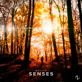 Senses by Elijix