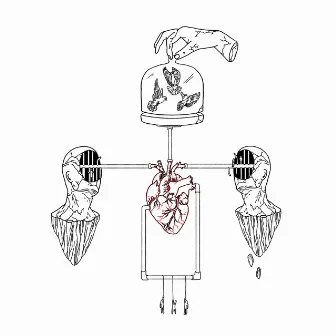 OS47S by Kaelin Ellis