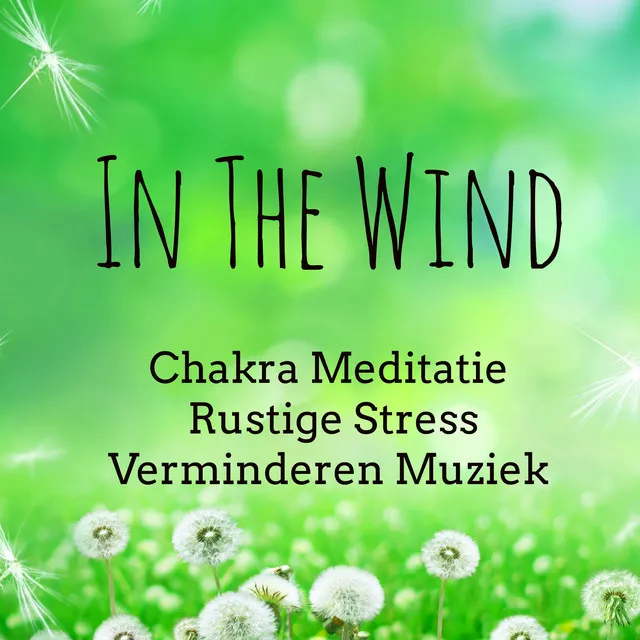 In The Wind - Chakra Meditatie Rustige Stress Verminderen Muziek voor Vipassana Meditatie Brain Oefeningen Slaapcyclus met Instrumental Spirituele Genezing Heerlijk Slapen Geluiden