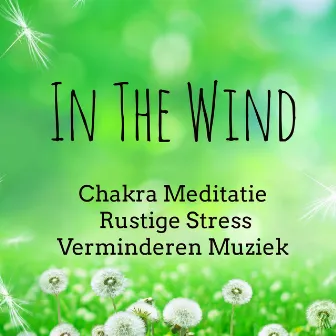 In The Wind - Chakra Meditatie Rustige Stress Verminderen Muziek voor Vipassana Meditatie Brain Oefeningen Slaapcyclus met Instrumental Spirituele Genezing Heerlijk Slapen Geluiden by Ayurveda Massage Music Specialists