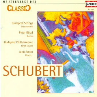 Classic Masterworks - Franz Schubert by Unknown Artist