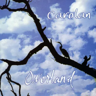 Overland by Peter Carolan