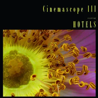 Cinemascope III by Hotels