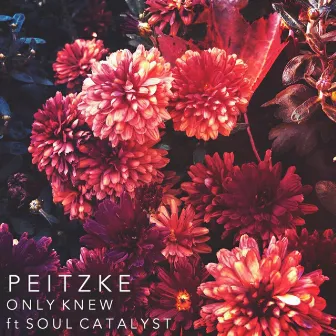 Only Knew by Peitzke