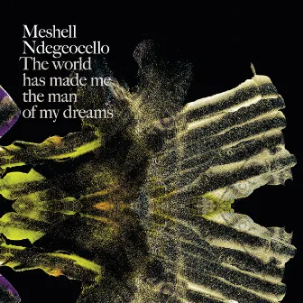 The World Has Made Me The Man Of My Dreams by Meshell Ndegeocello