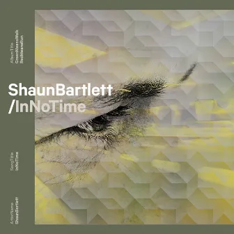 In No Time by Shaun Bartlett