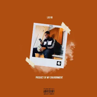 Product of My Environment by Los Ro