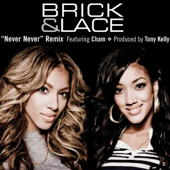 Never Never (Remix featuring Cham) by Brick & Lace