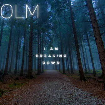 I Am Breaking Down by Olm