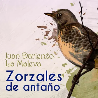 Zorzales de Antaño - Juan Darienzo - La Maleva by Orquesta De Juan Darienzo