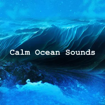 Calm Ocean Sounds by Unknown Artist