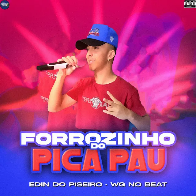 Forrozinho do Pica Pau