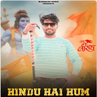 Hindu Hai Hum by Abhay Bhati