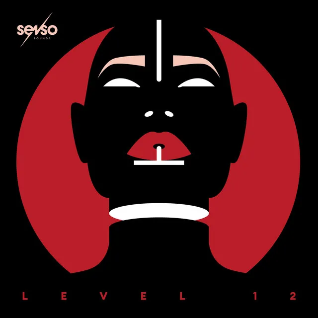 Senso Sounds Level 12