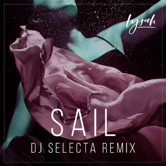 Sail (DJ Selecta Remix) by DJ Selecta