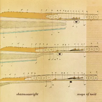 Maps of Tacit by Shannon Wright