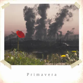 Primavera by Feliblack