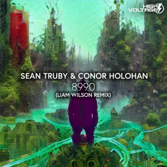 8990 (Liam Wilson Remix) by Conor Holohan