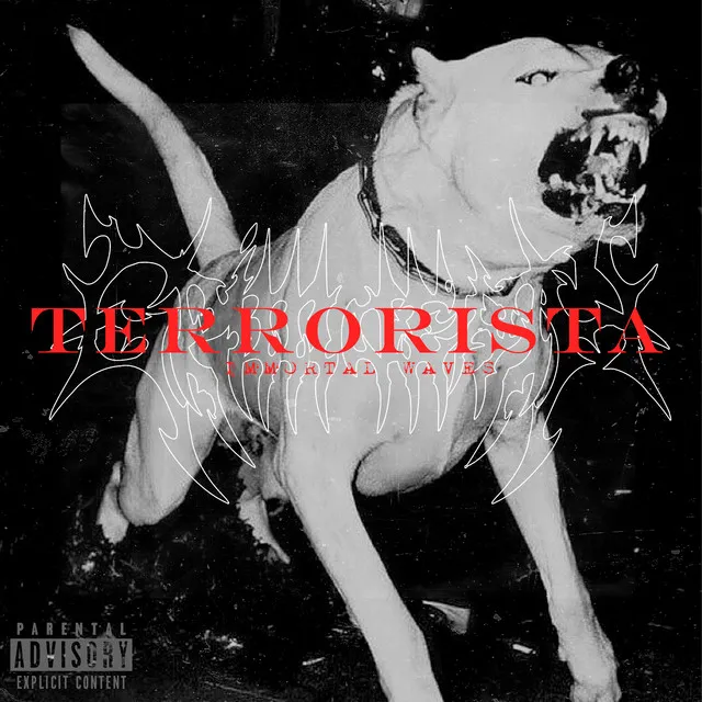 Terrorista