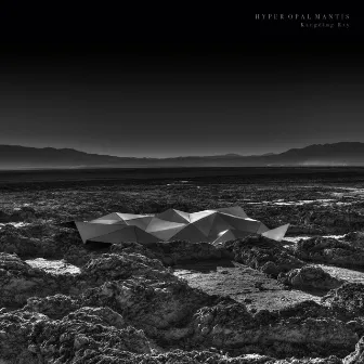 Hyper Opal Mantis by Kangding Ray