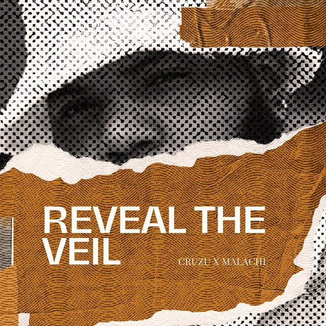 Reveal the Veil