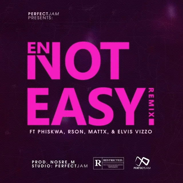 Not Easy - Remix