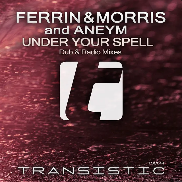 Under Your Spell - Josh Ferrin Radio Edit