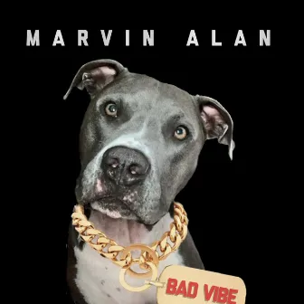 Bad Vibes by Marvin Alan