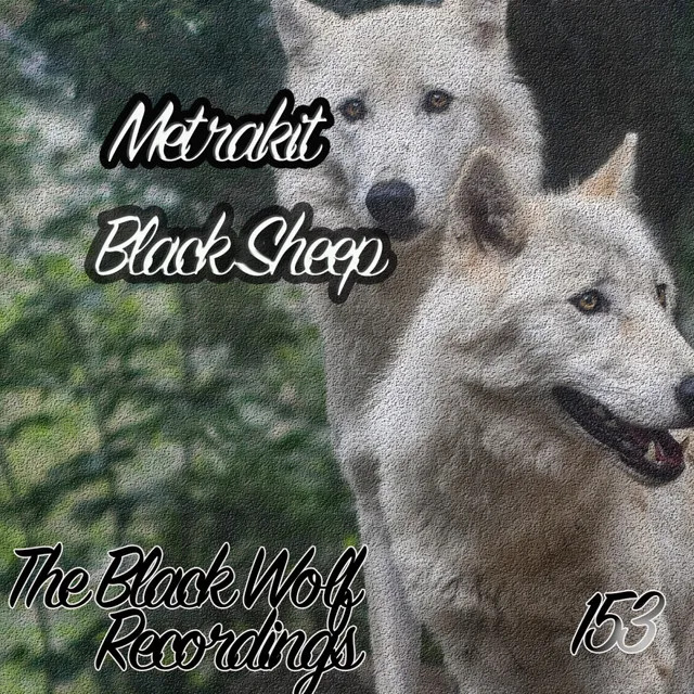 Black Sheep