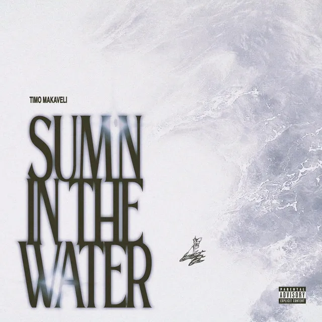 SUM'N IN THE WATER