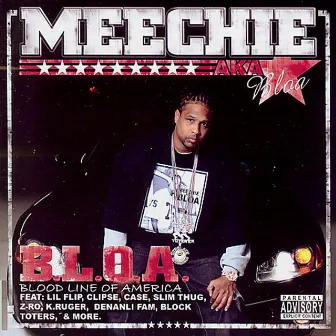 B.L.O.A.- Blood Line Of America by Meechie