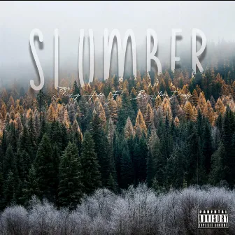 Slumber by Sleezy Hefe