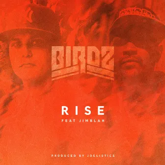 Rise (feat. Jimblah) by Birdz