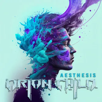 Aesthesis by Orion Child