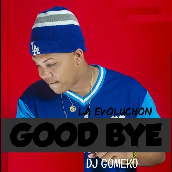 Good Bye by La Evoluchon