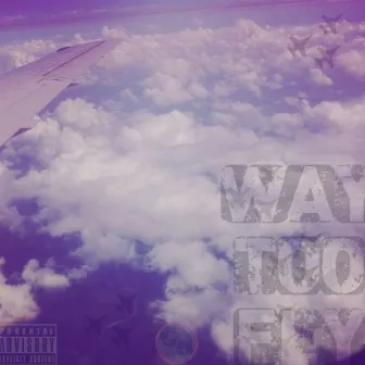 Way Too Fly by Clinton Haze