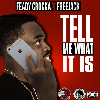 Tell Me What It Is by FreeJack