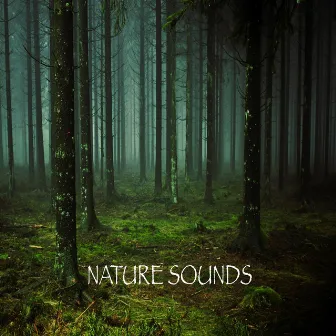 Nature Sounds by Serkmusic