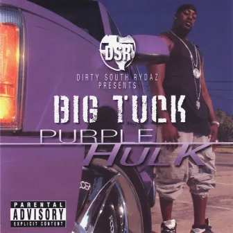 Purple Hulk by Big Tuck