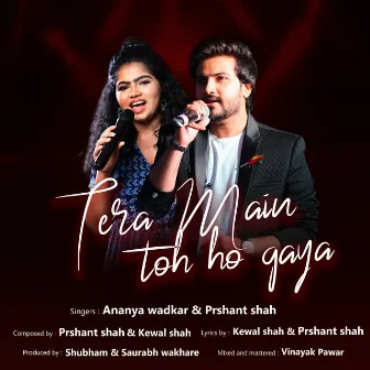 Tera Main Toh ho gaya by Ananya Wadkar