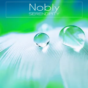 Serendipity by Nobly