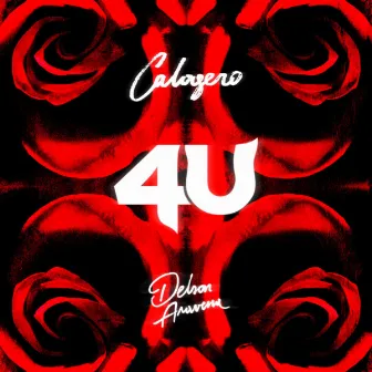 4U by Delson Aravena