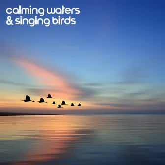 Calming Waters & Singing Birds: Relieve Stress, Fatigue, Depression • Sounds & Melodies To Heal Body And Spirit by Nature Vox