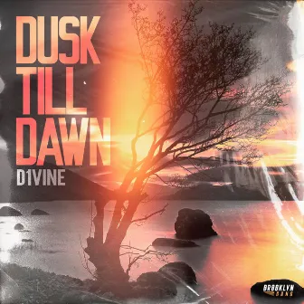 Dusk till Dawn by D1VINE